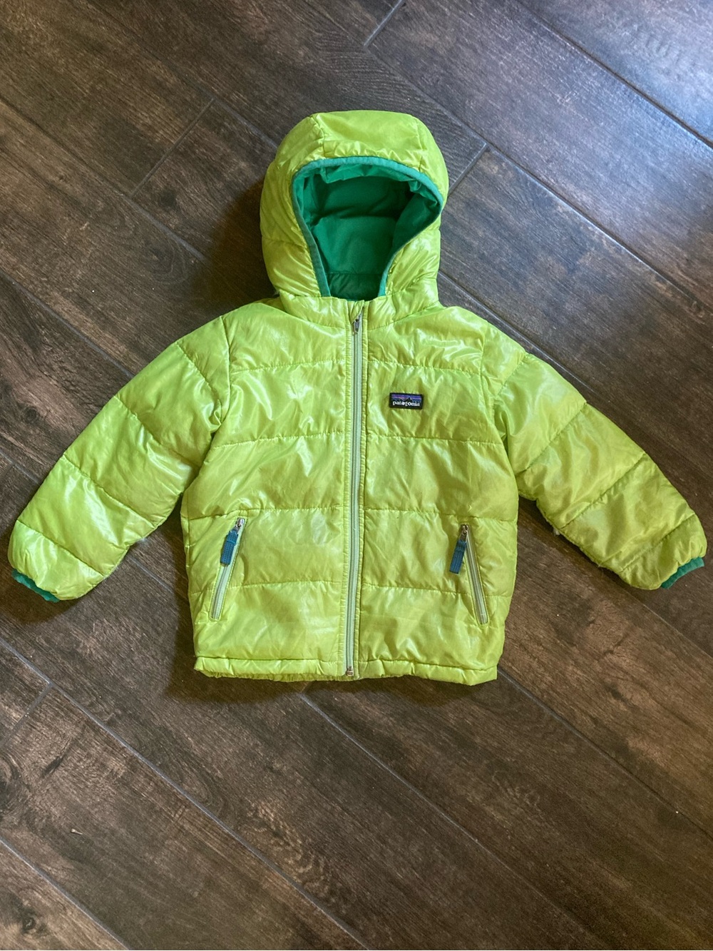 Patagonia | Hi-Loft Down Sweater Hoody/Puffy (3T)